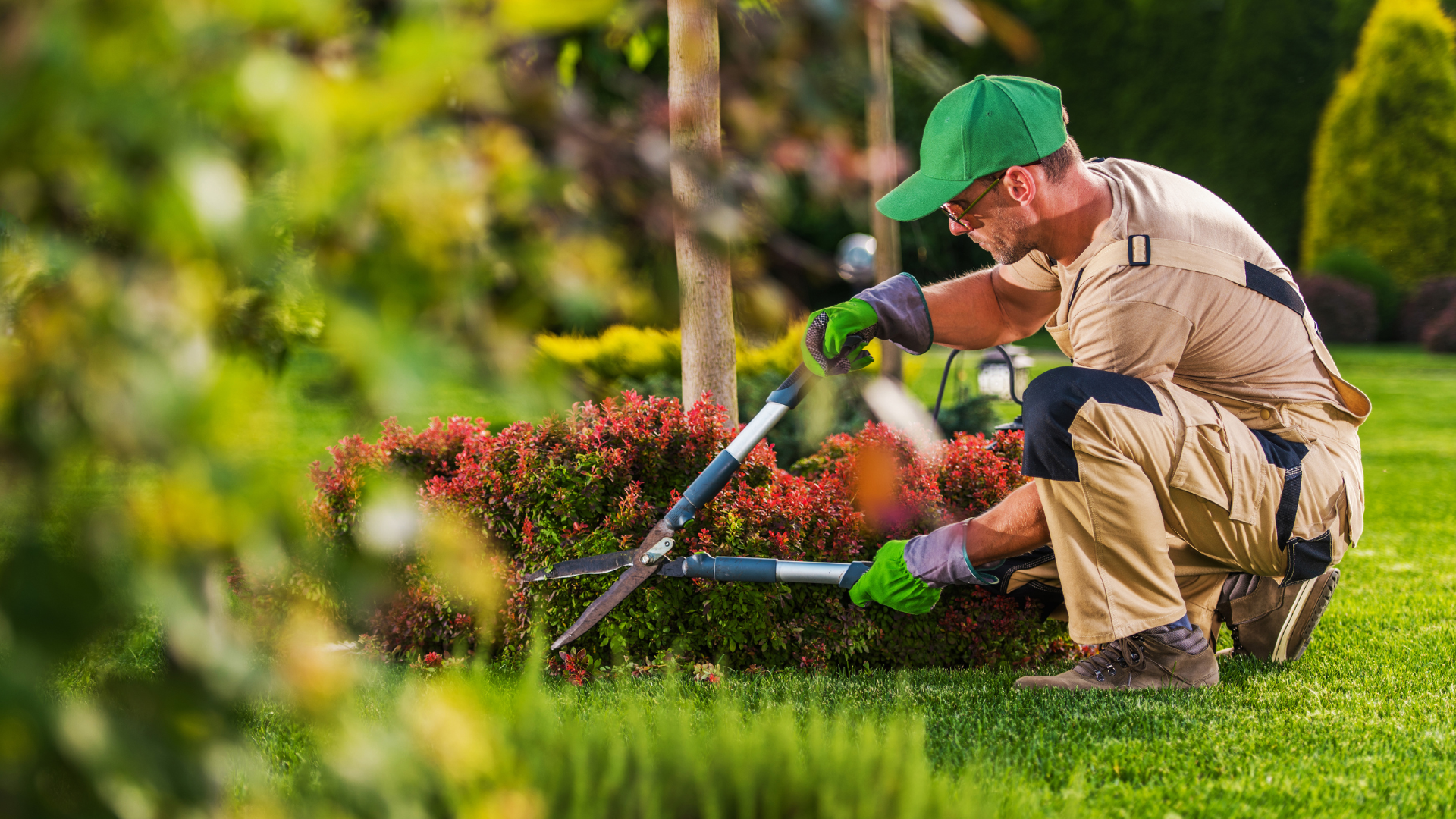 Professional landscaping and lawn mowing service