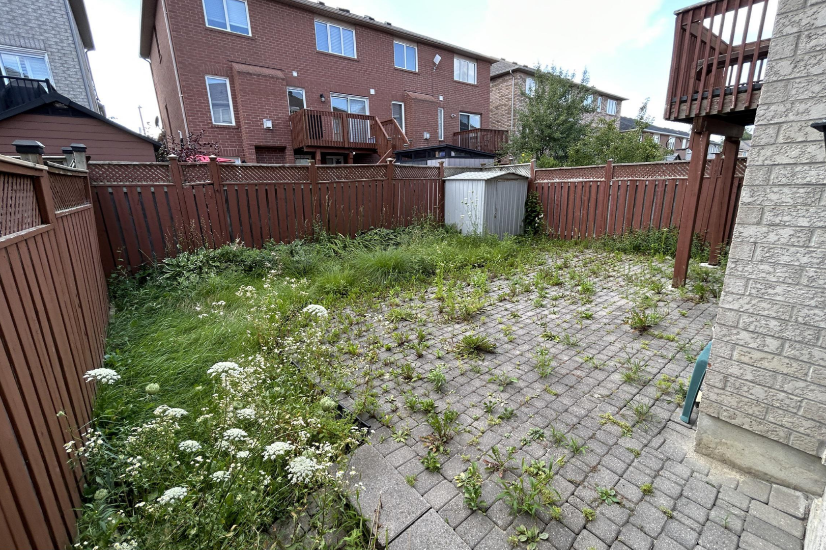 Cluttered yard before cleanup