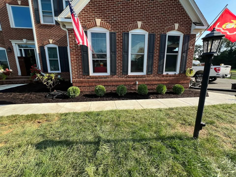 Complete area cleanup result